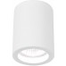 Накладной светильник Arte Lamp TUBO A9260PL-1WH