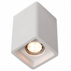 Светильник накладной Arte Lamp TUBO A9261PL-1WH Светильник накладной Arte Lamp TUBO A9261PL-1WH