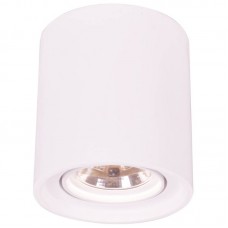 Накладной светильник Arte Lamp TUBO A9262PL-1WH
