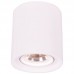 Точечный светильник Arte Lamp A9262PL-1WH Tubo