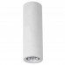 Светильник накладной Arte Lamp Tubo A9267PL-1WH