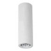 Светильник накладной Arte Lamp Tubo A9267PL-1WH