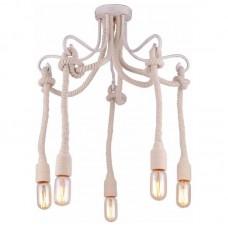 Светильник Arte Lamp(NODO) A9477PL-5WG