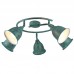 Спот Arte Lamp A9557PL-5BG