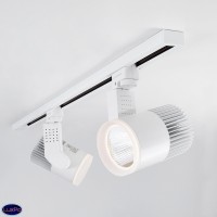 Трековый светодиодный светильник для однофазного шинопровода Elektrostandard Accord Белый 30W 4200K (LTB20) a039567