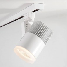 Светильник для однофазной шины Elektrostandard Accord Белый 30W 4200K (LTB43) трехфазный