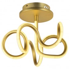 Светильник потолочный светодиодный Arti Lampadari Angelo Angelo L 1.2.35.06 G