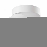 Накладной светильник Maytoni Alivar C022CL-L12W4K