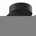 Потолочный накладной светильник Maytoni Treviso C023CL-L20B4K