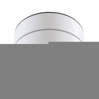 Потолочный накладной светильник Maytoni Treviso C023CL-L20W4K