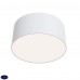 Потолочный светильник Maytoni Zon C032CL-L12W4K