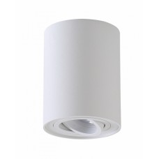 Светильник накладной Crystal Lux CLT 410C1 WH