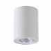 Светильник накладной Crystal Lux CLT 410C1 WH