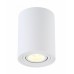 Светильник накладной Crystal Lux CLT 410C1 WH