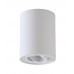 Светильник накладной Crystal Lux CLT 410C1 WH
