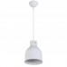 Светильник подвесной Arti Lampadari Colata Colata E 1.3.P1 W