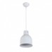 Светильник подвесной Arti Lampadari Colata Colata E 1.3.P1 W
