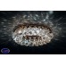 Встраиваемый светильник Donolux DL062.79.1 Crystal Встраиваемый светильник Donolux DL062.79.1 Crystal