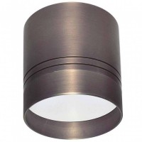 Светильник накладной Donolux Darmskat DL18482/WW-Antique silver R