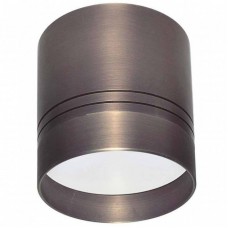 Светильник накладной Donolux Darmskat DL18482/WW-Antique silver R