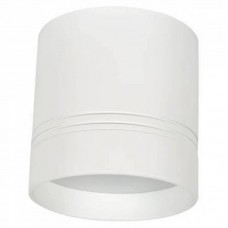 Потолочный светодиодный светильник Donolux DL18482/WW-White R