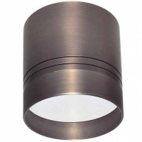 Светильник накладной Donolux Darmskat DL18483/WW-Antique silver R