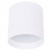 Потолочный светодиодный светильник Donolux DL18483/WW-White R