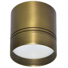 Светильник накладной Donolux Darmskat DL18484/WW-Light bronze R