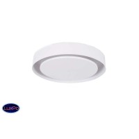 Потолочный светодиодный светильник Donolux DL18549/01WW D310