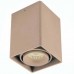 Светильник накладной Donolux Dream DL18610/01WW-SQ Champagne