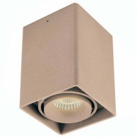 Светильник потолочный Donolux DL18611/01WW-SQ Champagne