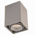 Светильник потолочный Donolux DL18611/01WW-SQ Silver Grey