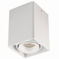 Светильник потолочный Donolux DL18611/01WW-SQ White