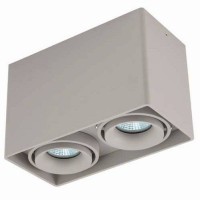 Светильник потолочный Donolux DL18611/02WW-SQ Silver Grey