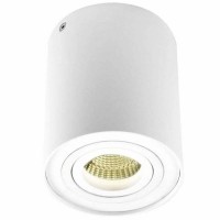 Светильник потолочный Donolux DL18613/01WW- R White