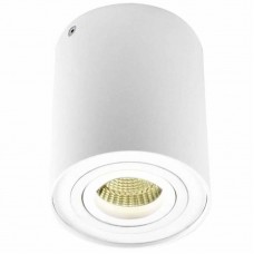 Светильник потолочный Donolux DL18613/01WW- R White