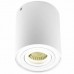 Светильник потолочный Donolux DL18613/01WW- R White