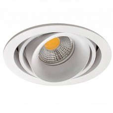 Точечный светильник Donolux DL18615/01WW-R White/Black Paleo
