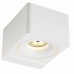 Бра Donolux DL18620/01WW-R White Grutten