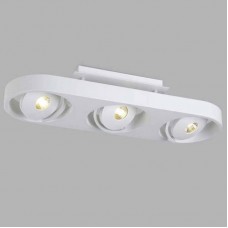 Светильник потолочный светодиодный Donolux DL18697/13WW-White