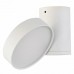 Светильник настенный Donolux Moonlight DL18811/15W White R Dim