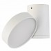 Светильник настенный Donolux Moonlight DL18811/23W White R Dim