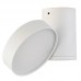 Светильник настенный Donolux Moonlight DL18811/9W White R Dim