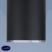 Накладной потолочный светильник Elektrostandard DLN101 GU10 BK черный a043971
