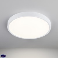 Накладной потолочный светодиодный светильник Elektrostandard DLR034 24W 4200K a043016
