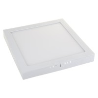 Накладной/встраиваемый потолочный светодиодный светильник Elektrostandard DLS020 24W 4200K a035326