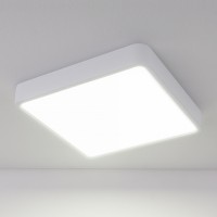 Накладной потолочный светодиодный светильник Elektrostandard DLS034 18W 4200K a043017