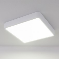 Накладной потолочный светодиодный светильник Elektrostandard DLS034 18W 4200K a043017