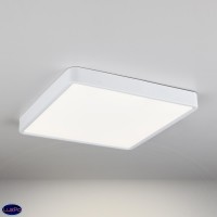 Накладной потолочный светодиодный светильник Elektrostandard DLS034 24W 4200K a043018