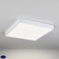 Накладной потолочный светодиодный светильник Elektrostandard DLS034 24W 4200K a043018